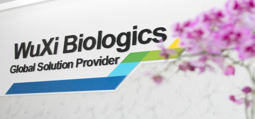 WuXi XDC Enters into Partnership Agreement with IntoCell, Enabling Clients to Accelerate ADC Discovery and Development